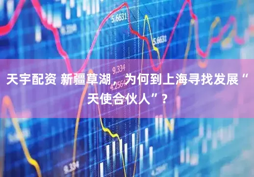 天宇配资 新疆草湖，为何到上海寻找发展“天使合伙人”？