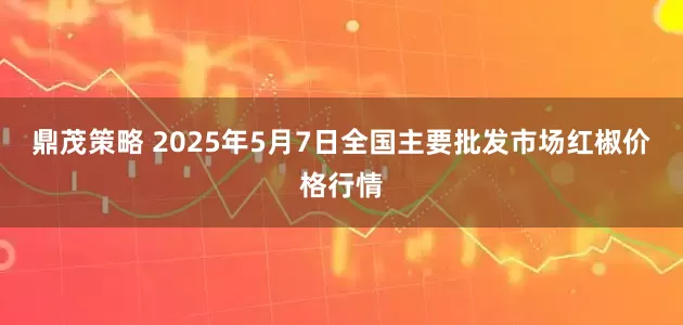 鼎茂策略 2025年5月7日全国主要批发市场红椒价格行情