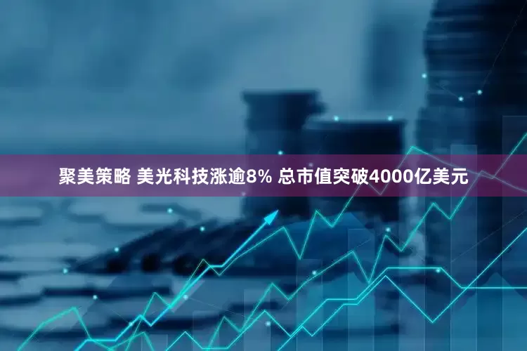 聚美策略 美光科技涨逾8% 总市值突破4000亿美元